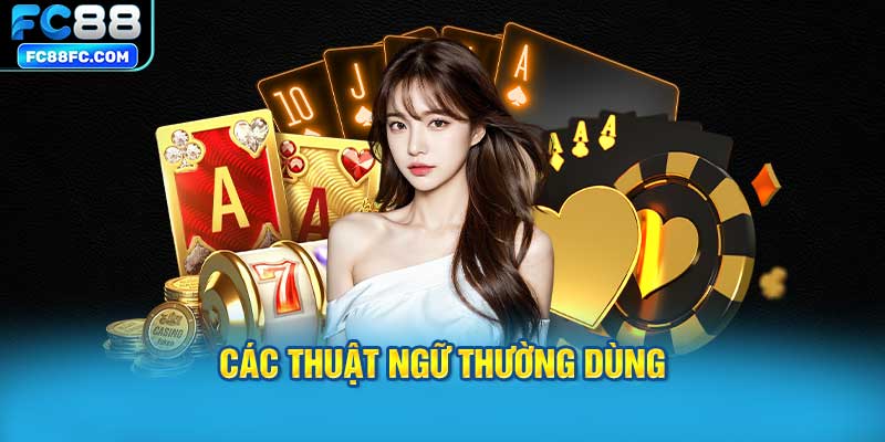 Các Thuật Ngữ Thường Dùng